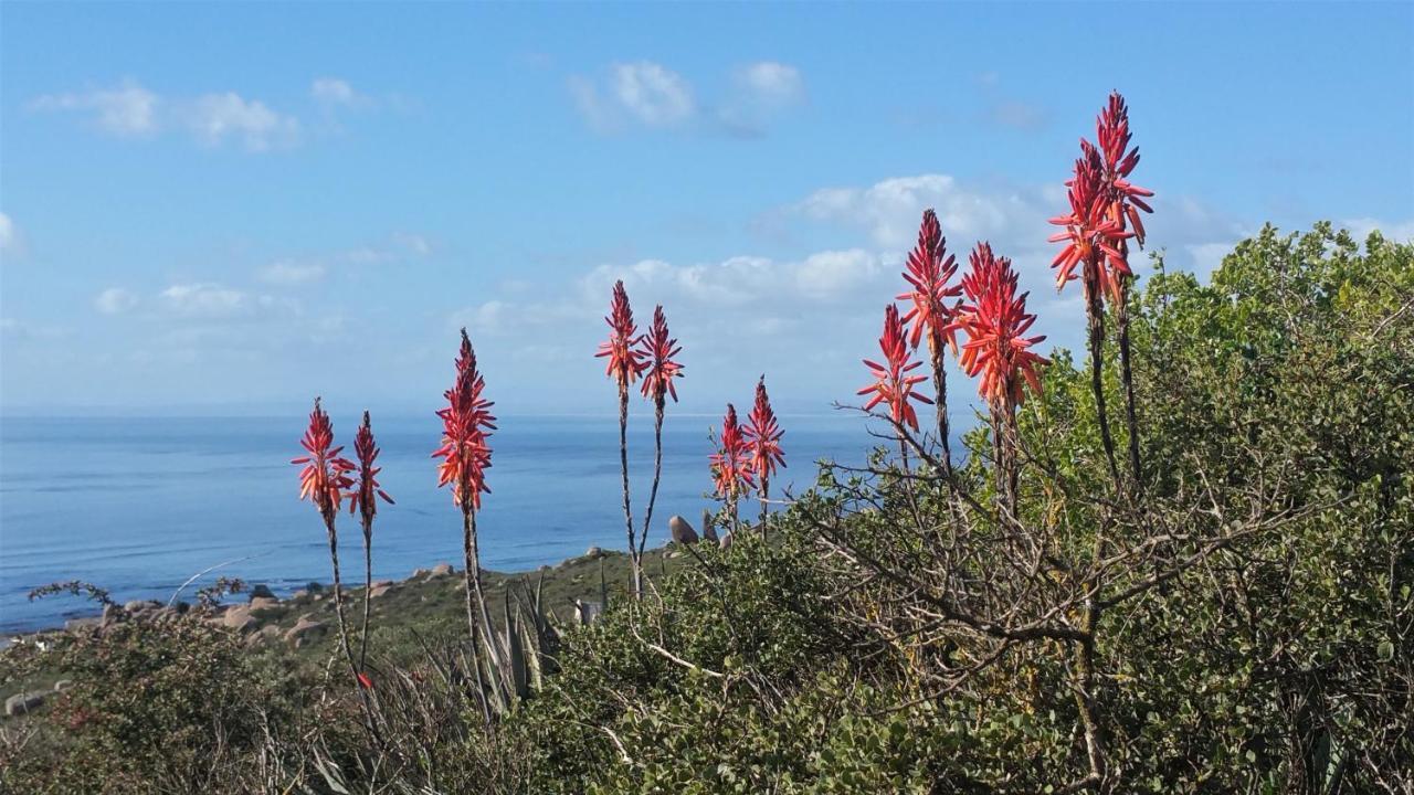 Onze Uitsight Cottage St Helena Bay Dış mekan fotoğraf